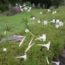 R0012489