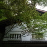 R0012499