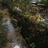 R0012782