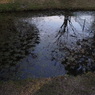 R0012807