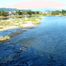 渡月橋