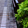 構成-19／Striped pattern by the natural mat