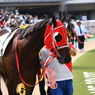 府中競馬場にて初めての写真