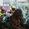 2010年富士S ダノンヨーヨー