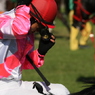 2011年中山競馬場にて