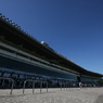2011年中山競馬場