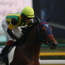 2011年3歳上500万下 エチゴイチエ