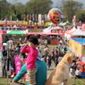 Balloon Fiestaへ行こう！
