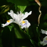 DSCF0119