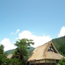 明善寺
