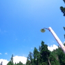 夏の街灯