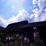 日差し