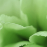 Green_014