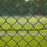 Green_012
