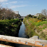 水路が見える風景