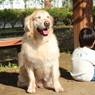 きゃぴ