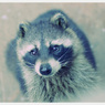 Animals。