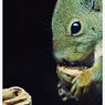 Animals。
