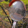 ミラーに写る遊び