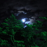 澄んだ夜