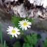 _IGP1876_edited-1