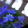 _IGP1883_edited-1