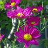 _IGP1914_edited-1