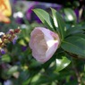 _IGP1931_edited-1