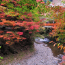 京都　三尾巡り　槙尾山西明寺参道Ⅰ