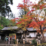 京都　三尾巡り　槙尾山西明寺Ⅰ
