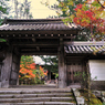 京都　三尾巡り　槙尾山西明寺Ⅱ