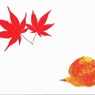 落ち葉