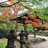 京都　三尾巡り　槙尾山西明寺Ⅲ