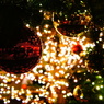 Illuminate Dark