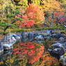 池と紅葉