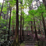 京都　三尾巡り　世界遺産　栂尾山高山寺Ⅱ