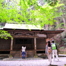 京都　三尾巡り　世界遺産　栂尾山高山寺Ⅲ