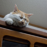 見上げてみると