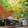 京都　三尾巡り　世界遺産　栂尾山高山寺Ⅵ