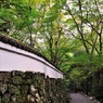 京都　三尾巡り　世界遺産　栂尾山高山寺Ⅹ