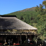 箱根の茶店