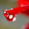 雨上がり