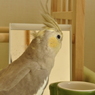 ちゃんと見てるよ