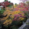 紅葉７