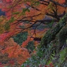 紅葉街道