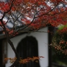 寺の秋