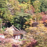 2011秋　談山神社遠景。