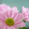 Good Morning♪