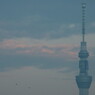 Blue SkyTree