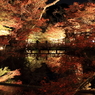 秋の夜